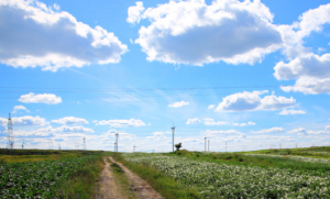 Rural Communities Digital Divide